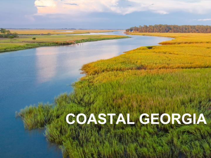 Coastal Georgia Water Planning Region Georgia Water Planning 5440